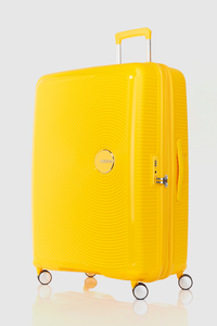 Curio 2 80cm Suitcase